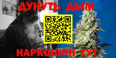 мдпв Гусев